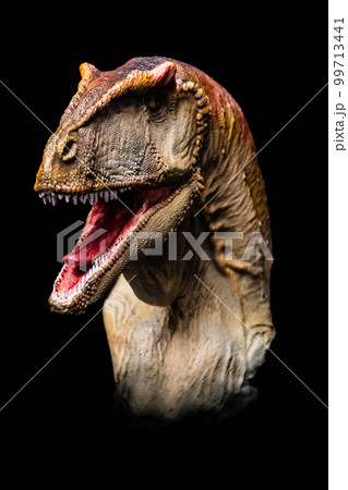 The head of Carcharodontosaurus in the dark , dinosaur on black background 99713441