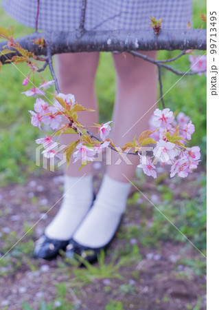 桜と少女の足元 99713495