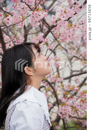満開の桜を見上げる少女 満開の桜を見上げる少女 99713656