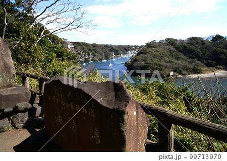 三浦市　油壷湾 99713970