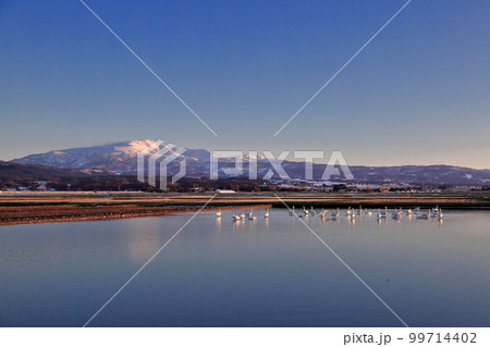 月山の夕暮れ 白鳥 月山の夕暮れ 白鳥 99714402