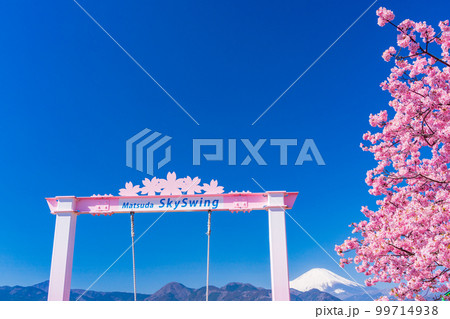 (神奈川県)松田・西平畑公園 チェリーナの丘のブランコ越しに富士山 (神奈川県)松田・西平畑公園 チェリーナの丘のブランコ越しに富士山 99714938