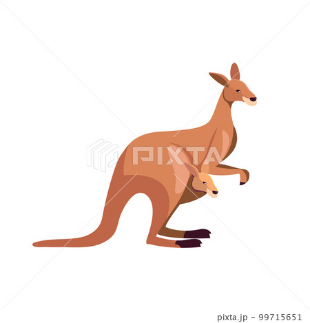 Kangaroo animal mother with child in pocket cute cartoon 99715651