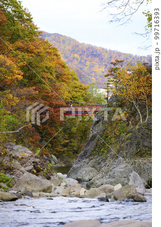 北海道 定山渓の「二見吊橋」と紅葉 北海道 定山渓の「二見吊橋」と紅葉 99716393
