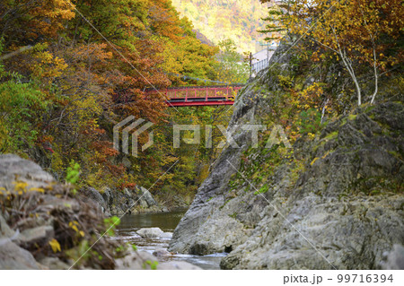 北海道 定山渓の「二見吊橋」と紅葉 99716394