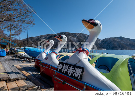 冬晴れの中禅寺湖とスワンボート 冬晴れの中禅寺湖とスワンボート 99716401