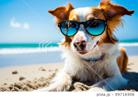 Funny dog is chilling on sandy shore of beautiful ocean. Summer vacation concept. Generative AI illustration 99716906