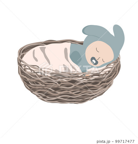 An adorable newborn boy sleeping comfortably in a waved nest. Flat vector illustration isolated a white background An adorable newborn boy sleeping comfortably in a waved nest. Flat vector illustration isolated a white background 99717477