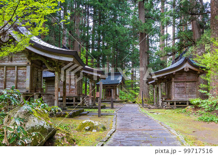 山形鶴岡の初夏　新緑の羽黒山・出羽神社 99717516