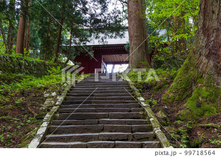 山形鶴岡の初夏　新緑の羽黒山・出羽神社　継子坂と随神門 99718564