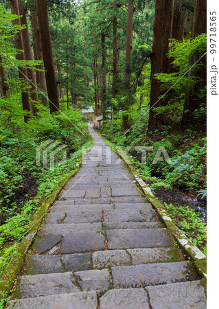 山形鶴岡の初夏　新緑の羽黒山・出羽神社　継子坂 99718565