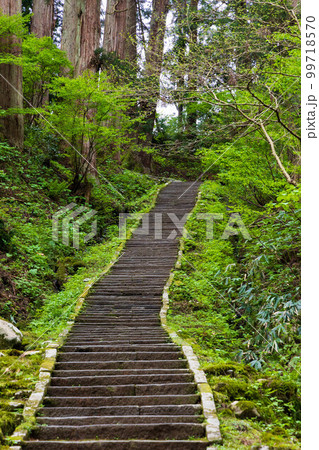 山形鶴岡の初夏 新緑の羽黒山・出羽神社 継子坂 山形鶴岡の初夏 新緑の羽黒山・出羽神社 継子坂 99718570