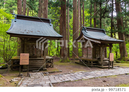 山形鶴岡の初夏 新緑の羽黒山・出羽神社 五十猛神社と大年神社 山形鶴岡の初夏 新緑の羽黒山・出羽神社 五十猛神社と大年神社 99718571