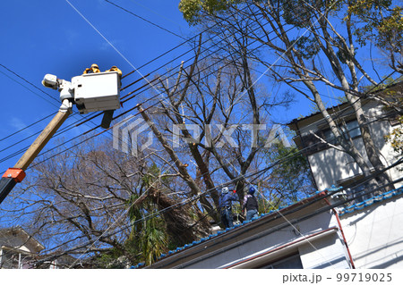 電線にかかった樹木の枝切 バケット車で高所作業 電線にかかった樹木の枝切 バケット車で高所作業 99719025