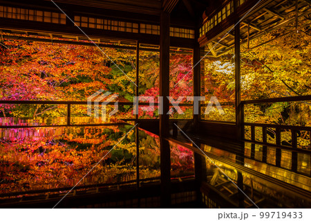 瑠璃光院の紅葉 夜間特別拝観 瑠璃光院の紅葉 夜間特別拝観 99719433