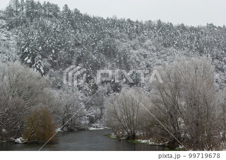 winter landscape Snow-covered trees near the river. A gloomy winter day winter landscape Snow-covered trees near the river. A gloomy winter day 99719678