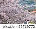 桜満開　お花見シーズンの桜 99719772