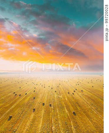 Aerial View Of Summer Hay Rolls Straw Field Landscape In Summer Sunny Day. Bright Orange Blue Sky Above Field Landscape. Harvest Season. Elevated View. Sunbeams Highlight Above Blossom Rapeseed 99720028