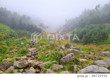 Foggy morning in the mountains. Dangerous weather conditions. Foggy morning in the mountains. Dangerous weather conditions. 99720550