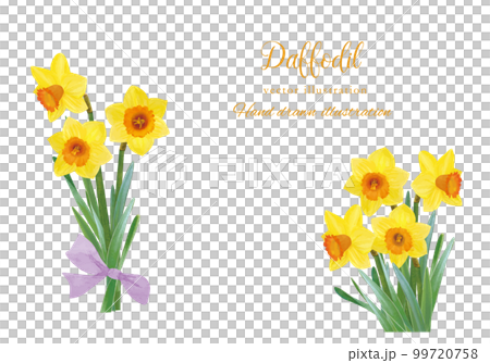 具有水彩風格寫實觸感的水仙花 99720758