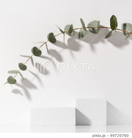 Minimal scene for beauty cosmetic product presentation made with white cubes and eucalyptus branch on white background. Square composition. Minimal scene for beauty cosmetic product presentation made with white cubes and eucalyptus branch on white background. Square composition. 99720760