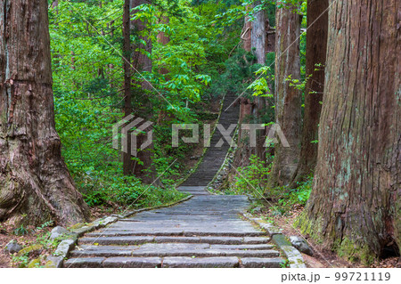 山形鶴岡の初夏 新緑の羽黒山・出羽三山神社 二の坂 山形鶴岡の初夏 新緑の羽黒山・出羽三山神社 二の坂 99721119