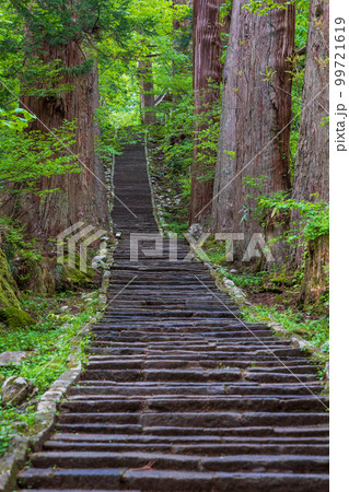 山形鶴岡の初夏 新緑の羽黒山・出羽三山神社 一の坂 山形鶴岡の初夏 新緑の羽黒山・出羽三山神社 一の坂 99721619