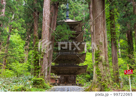 山形鶴岡の初夏　新緑の羽黒山・出羽三山神社　国宝五重塔 99722065
