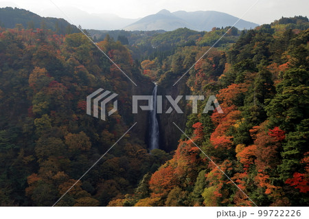 [定額] 秋の紅葉の九重夢大吊橋 ( 震動の滝 方面 ) 99722226
