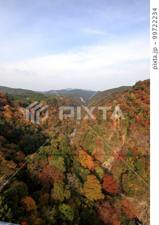 [定額] 秋の紅葉の九重夢大吊橋 ( 九酔渓 方面 ) 99722234