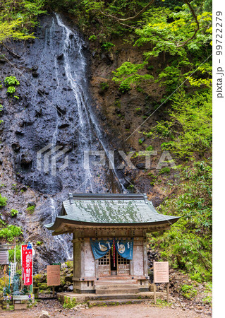 山形鶴岡の初夏 新緑の羽黒山・出羽三山神社 須賀の滝と祓川神社 山形鶴岡の初夏 新緑の羽黒山・出羽三山神社 須賀の滝と祓川神社 99722279