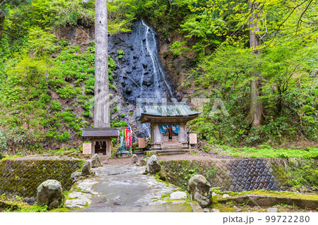 山形鶴岡の初夏　新緑の羽黒山・出羽三山神社　須賀の滝 99722280