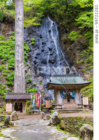 山形鶴岡の初夏 新緑の羽黒山・出羽三山神社 須賀の滝 山形鶴岡の初夏 新緑の羽黒山・出羽三山神社 須賀の滝 99722281