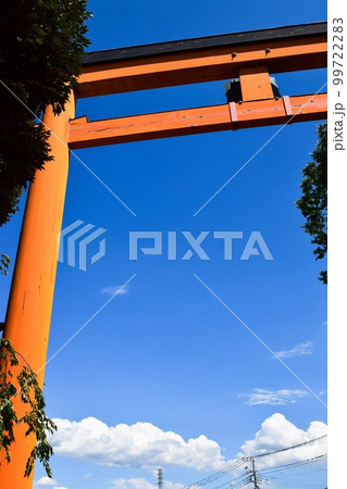 赤い鳥居を下から見上げる青空の景色 99722283