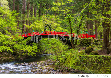山形鶴岡の初夏　新緑の羽黒山・出羽三山神社　神橋と祓川 99722285