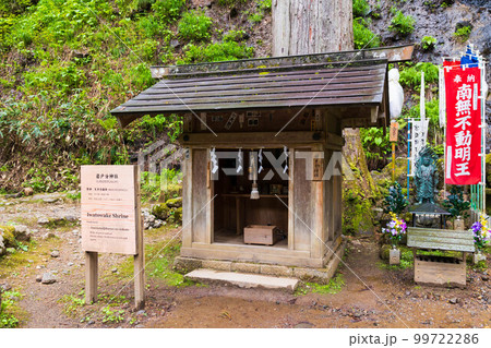 山形鶴岡の初夏　新緑の羽黒山・出羽三山神社　岩戸分神社 99722286