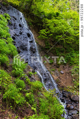 山形鶴岡の初夏 新緑の羽黒山・出羽三山神社 須賀の滝 山形鶴岡の初夏 新緑の羽黒山・出羽三山神社 須賀の滝 99722288