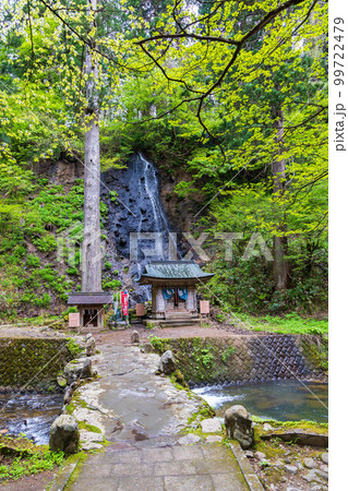 山形鶴岡の初夏　新緑の羽黒山・出羽三山神社　須賀の滝 99722479