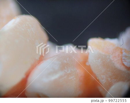 古い米にオレンジ色のカビの様子 99722555