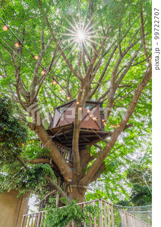 椿森コムナのツリーハウス 椿森コムナのツリーハウス 99722707