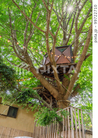 椿森コムナのツリーハウス 99722710