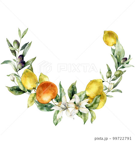 Watercolor tropical wreath of flower, ripe lemons, oranges, buds and leaves. Hand painted branch of fresh fruits isolated on white background. Tasty food illustration for design, print, background. Watercolor tropical wreath of flower, ripe lemons, oranges, buds and leaves. Hand painted branch of fresh fruits isolated on white background. Tasty food illustration for design, print, background. 99722791