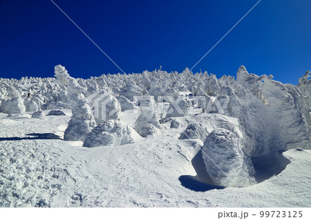 [定額] 厳冬期の西吾妻山 ( 2月 / 吾妻連峰 ) 99723125