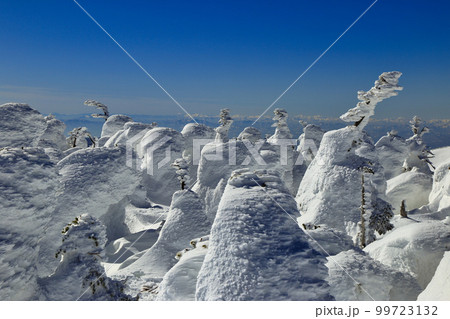 [定額] 厳冬期の西吾妻山 ( 2月 / 吾妻連峰 ) 99723132