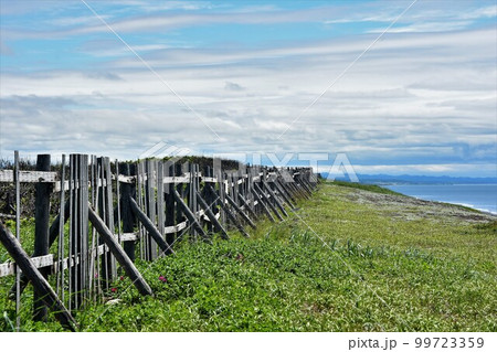 海岸線の古い板塀と白い雲と草原のある風景 写真素材 6月【撮影地:北海道天塩町】 海岸線の古い板塀と白い雲と草原のある風景 写真素材 6月【撮影地:北海道天塩町】 99723359