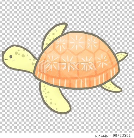 R：更多童話水族館RX☆海龜⑤ 99723591