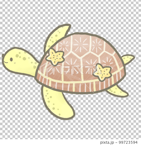 R:もっとメルヘンな水族館RX☆ウミガメ⑧ 99723594