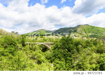 新緑の鳴子 99723765