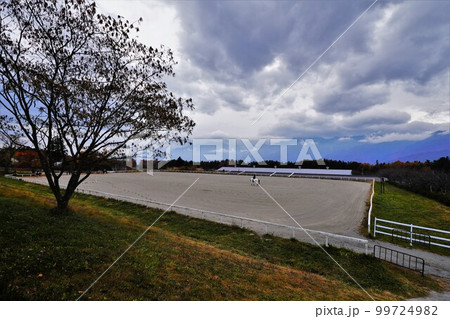 牧場での乗馬 99724982