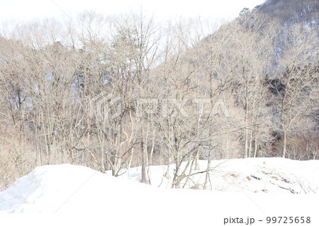 雪・空・星・冬の景色を感じる旅　冬の空はうつろいやすい　アメニモマケズ　宮沢賢治 99725658
